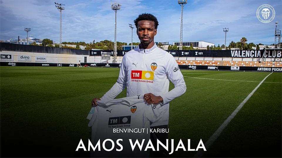 ワンジャラ獲得決定